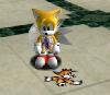 Tails looking at himself (SA)