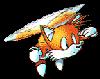 Tails flying through the air